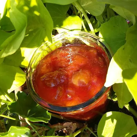 D'hotes Chez Mado Ottrott